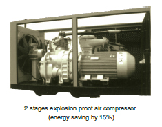 Coal Mine Explosion Proof Screw Air Compressor 