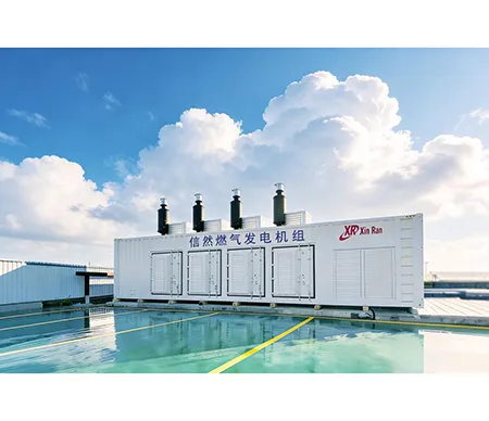 Gas Generator Set