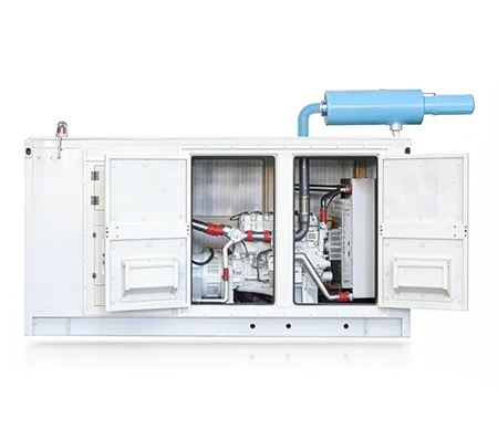 Gas Generator Set